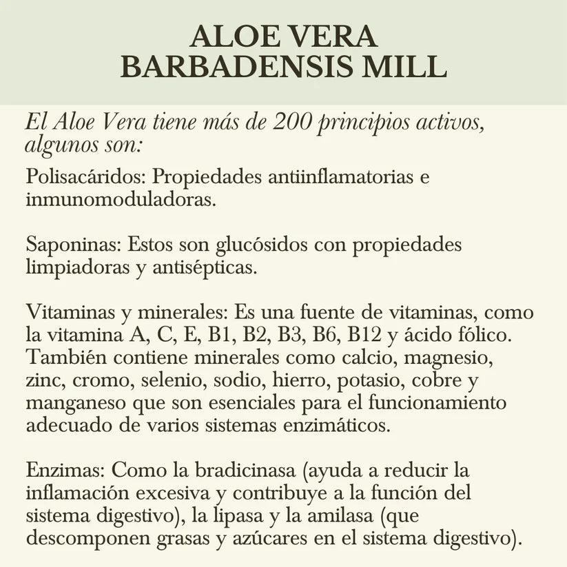 Boutique Herbal Pulpa de Aloe Vera 750 g