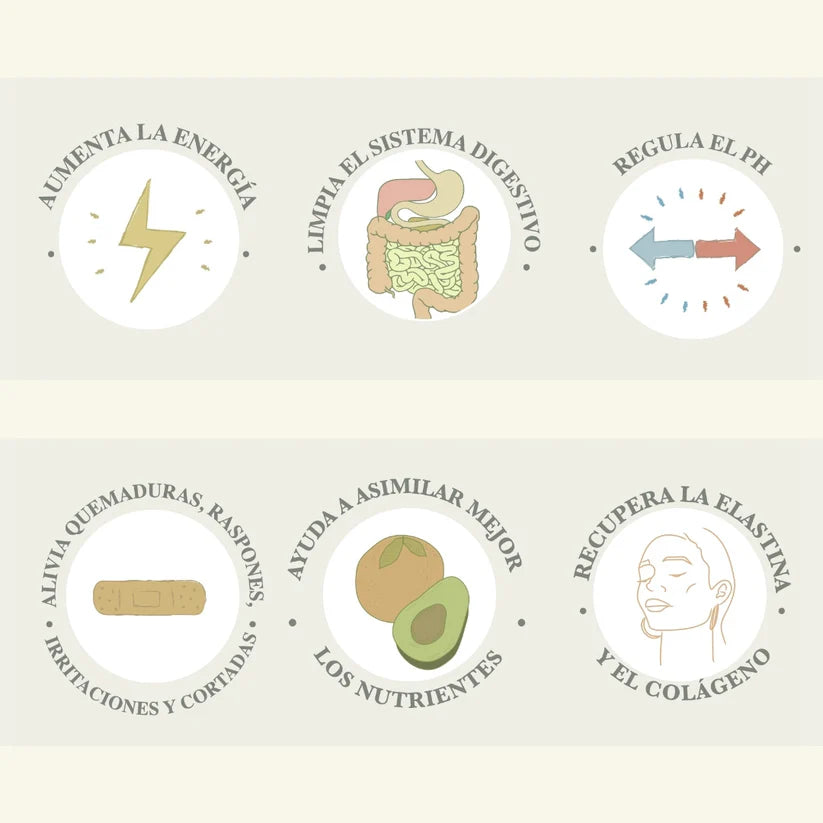 Boutique Herbal Pulpa de Aloe Vera 750 g