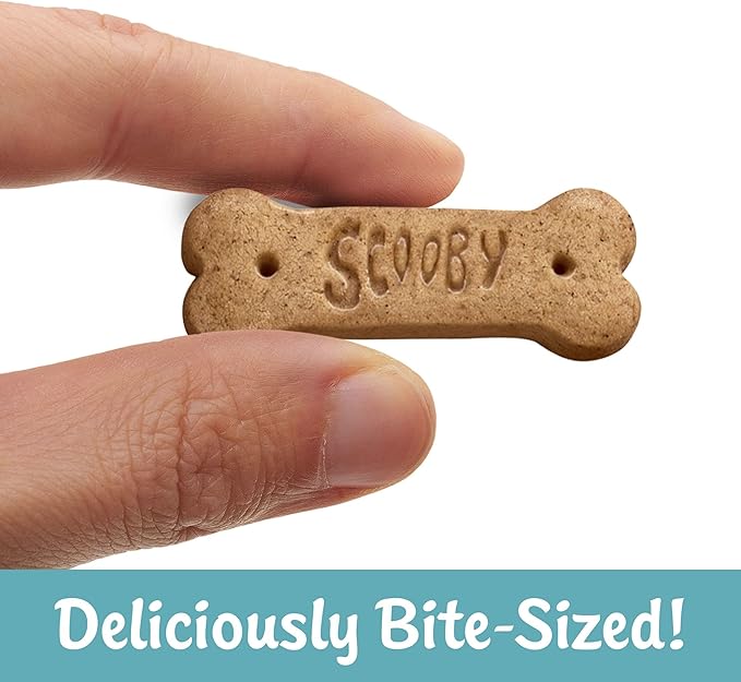 Scooby Doo Galletas de Canela 311 g