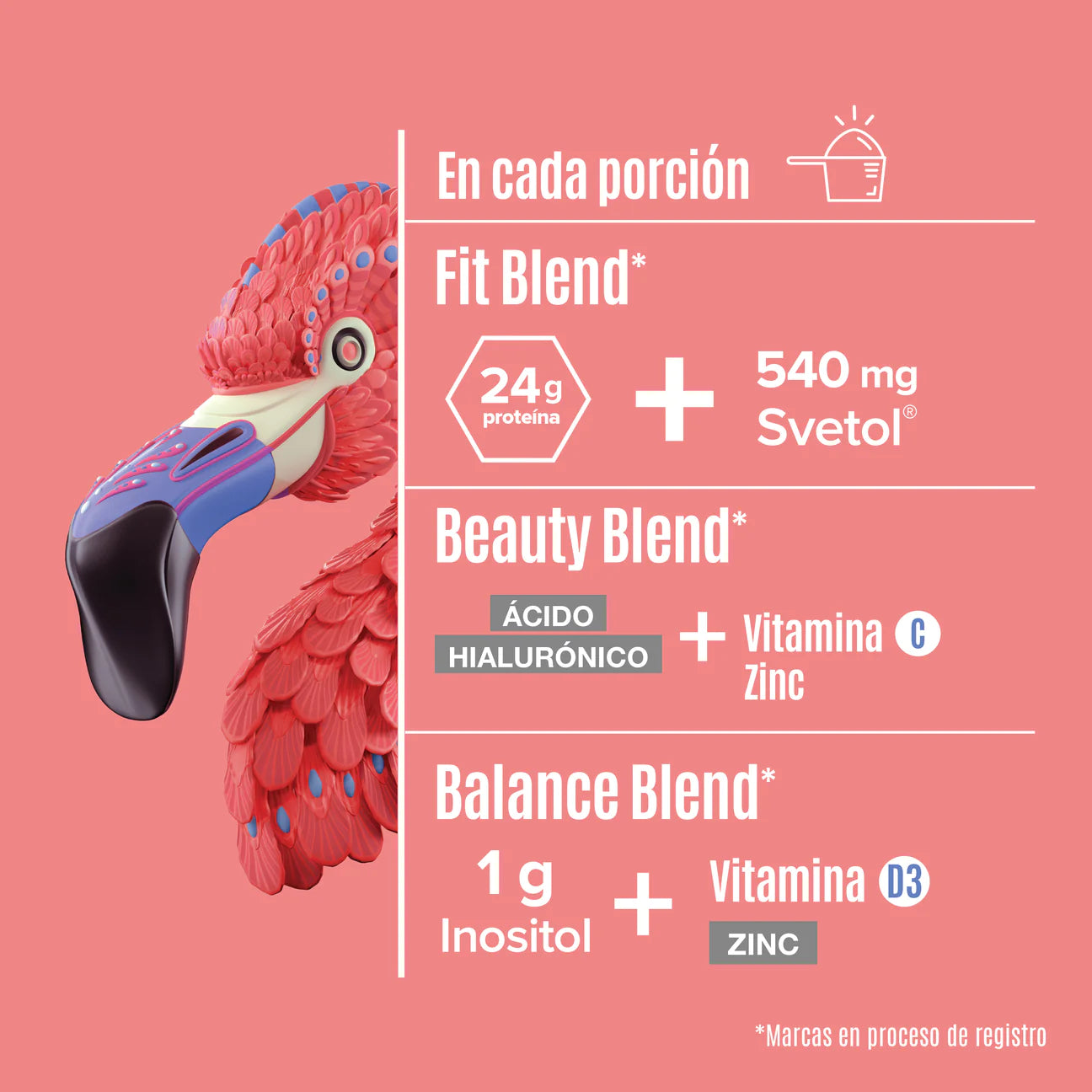 Birdman Fitmingo Sabor Blueberry 510 g - Mr Sabor