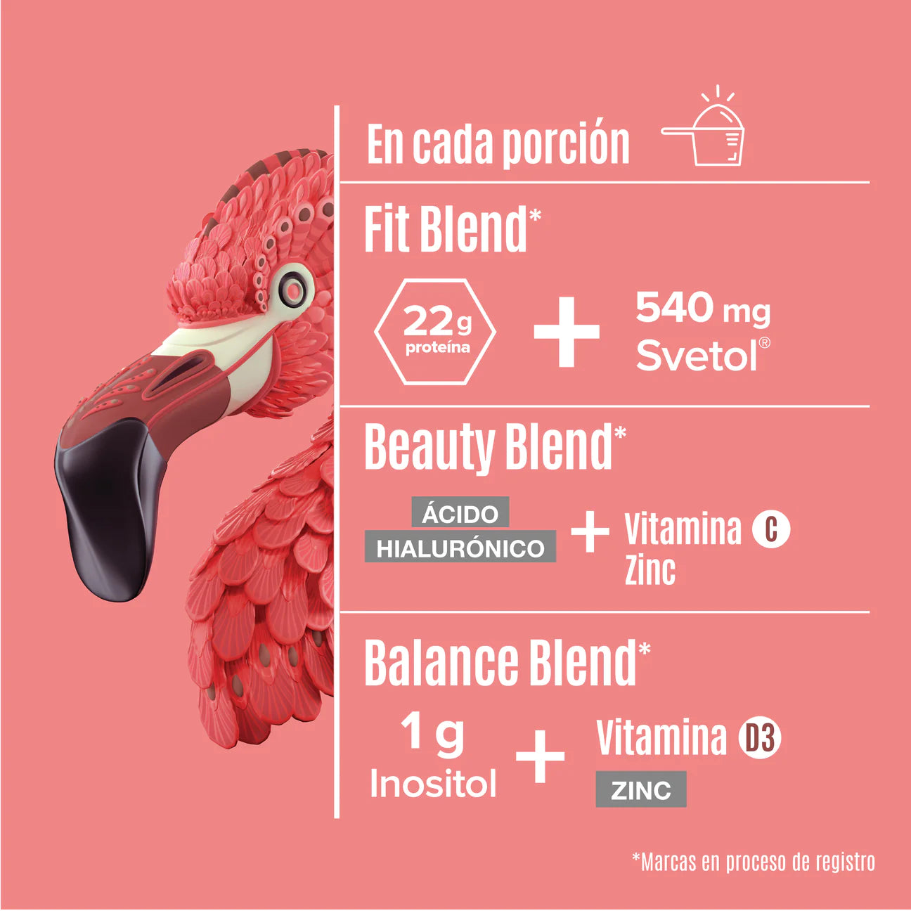 Birdman Fitmingo Sabor Moka