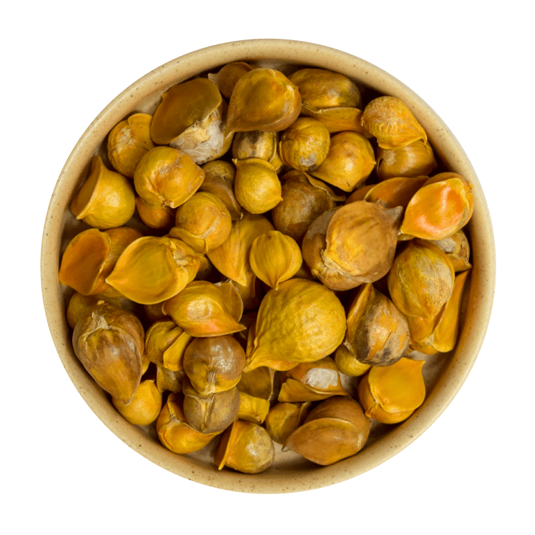 Ajo Japonés - Mr Sabor