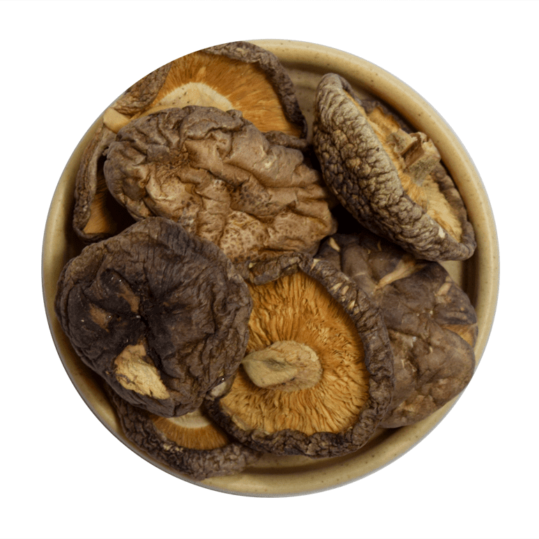 Hongo Shiitake