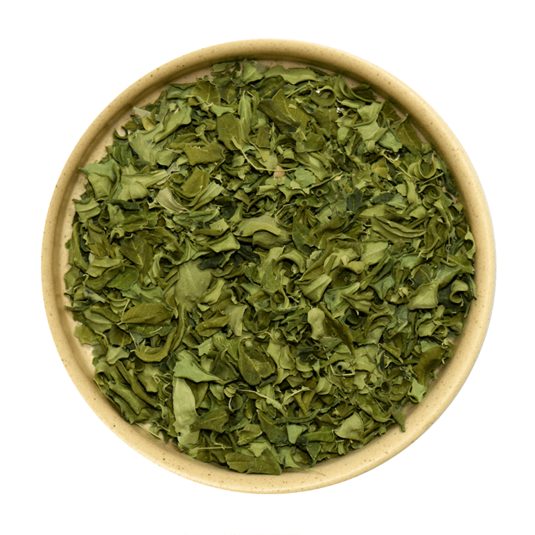 Hojas de Moringa - Mr Sabor