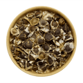 Semilla de Moringa