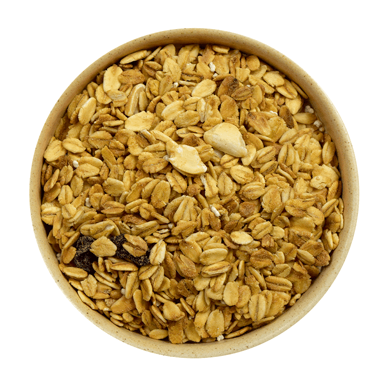 Granola Económica - Mr Sabor