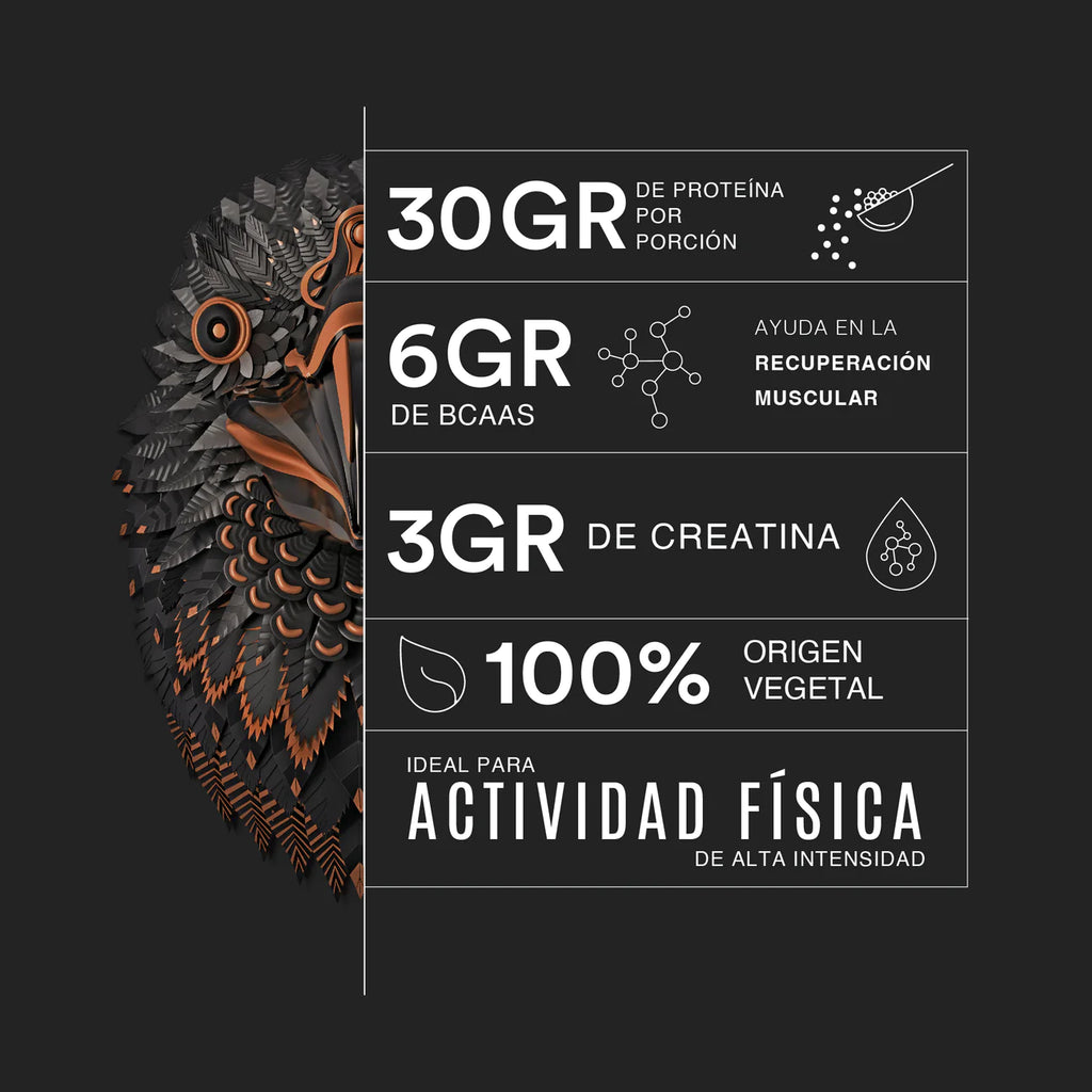 Birdman Falcon Performance Proteína Choco Bronze - Mr Sabor