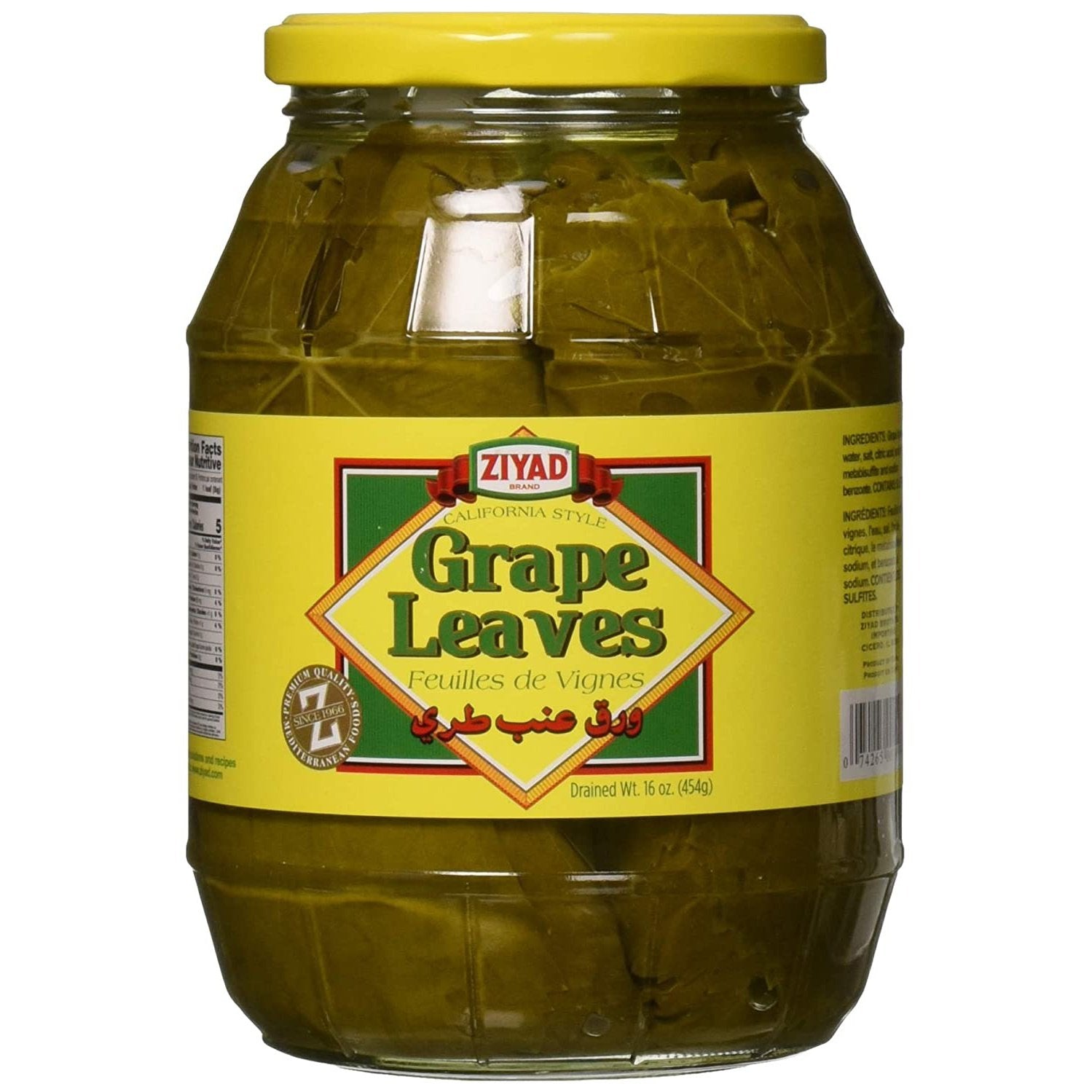 Ziyad Hoja de Parra en Salmuera - Mr Sabor